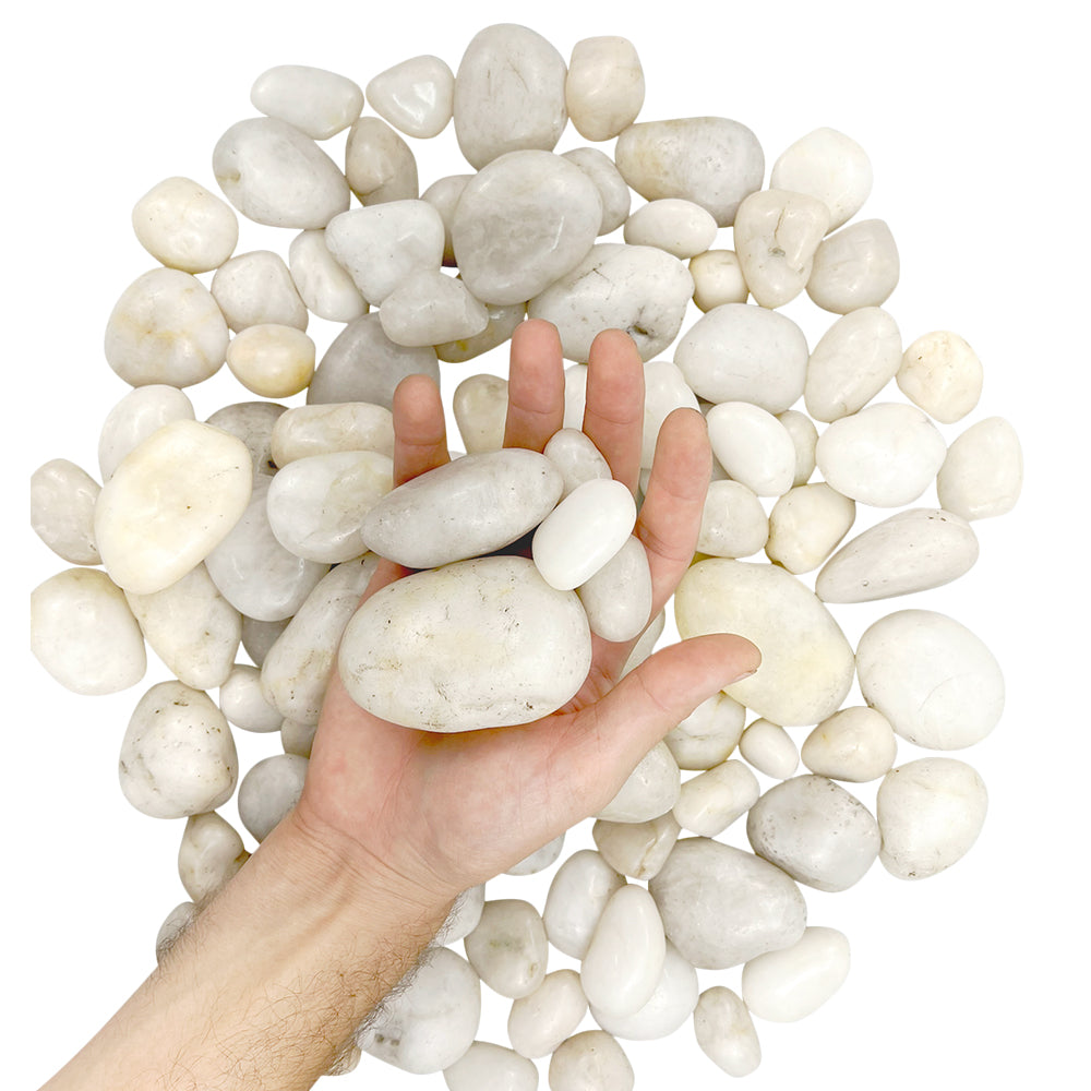 Panel Prestige Outdoors White Beach Stone Garden Dressing Large Polished Pebbles